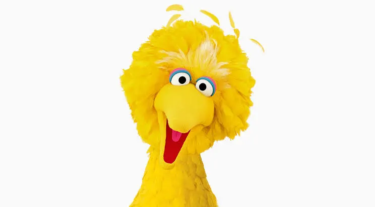 Big bird