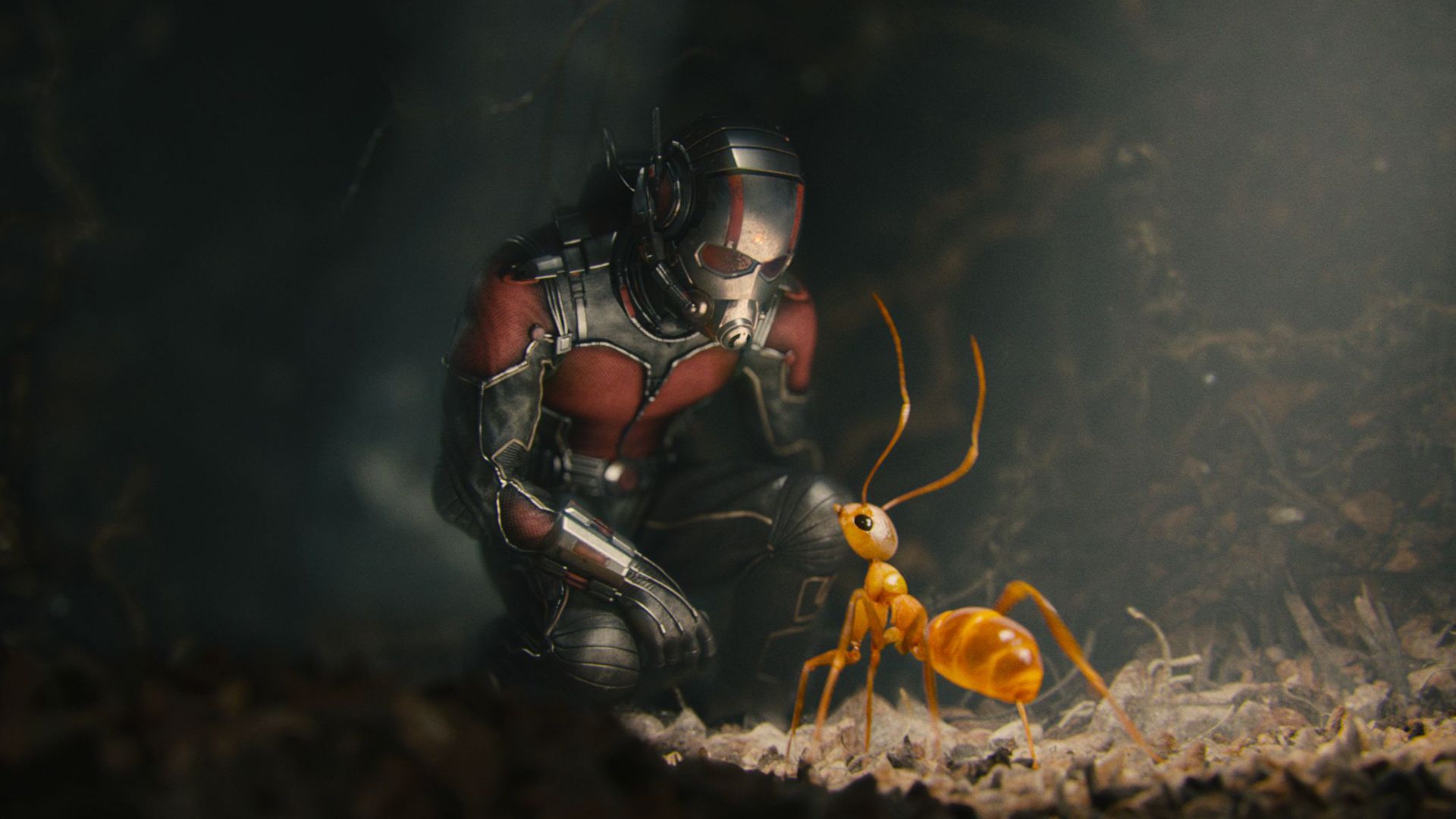 Scott Lang