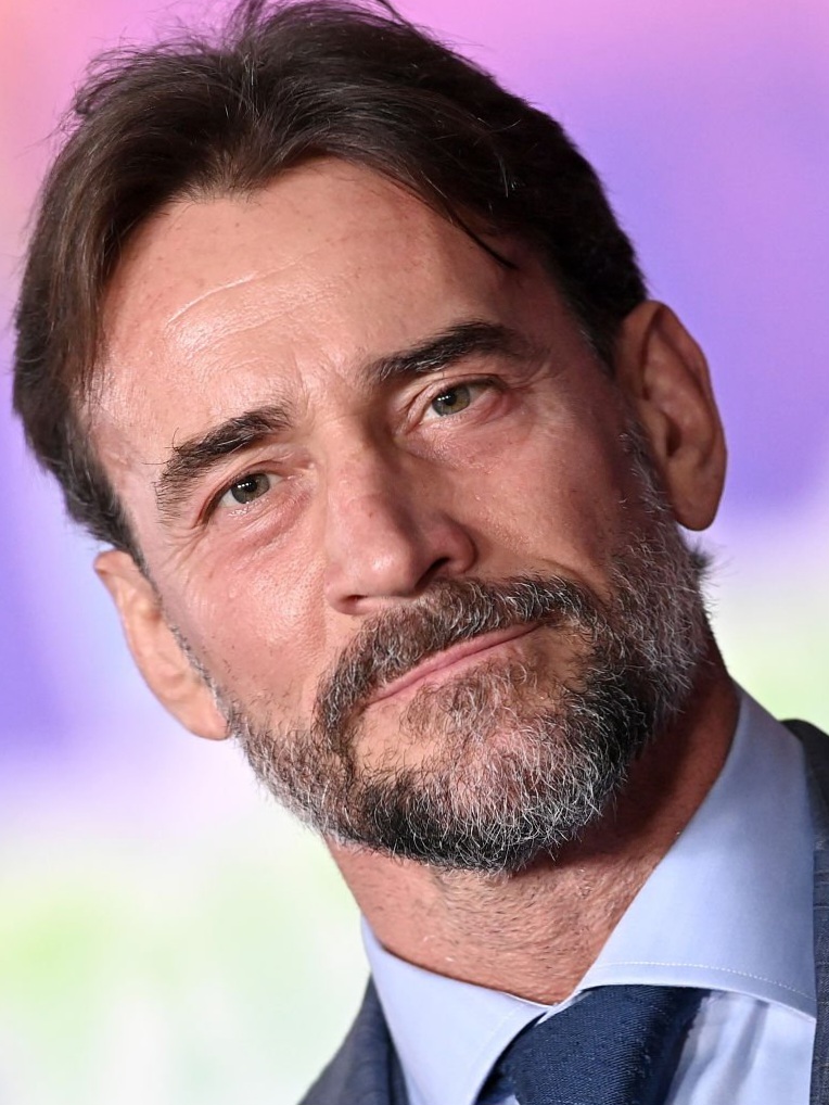 CM Punk